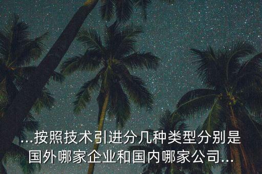 ...按照技術引進分幾種類型分別是國外哪家企業(yè)和國內哪家公司...