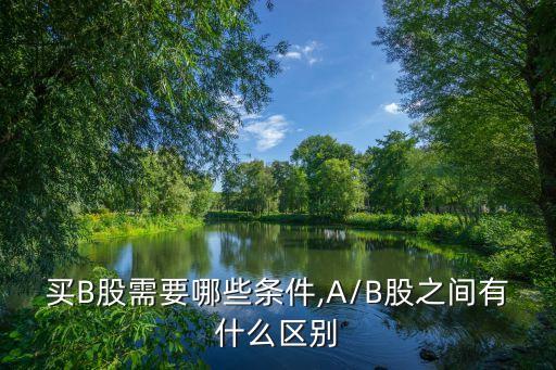 買(mǎi)B股需要哪些條件,A/B股之間有什么區(qū)別