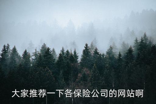 大家推薦一下各保險公司的網(wǎng)站啊