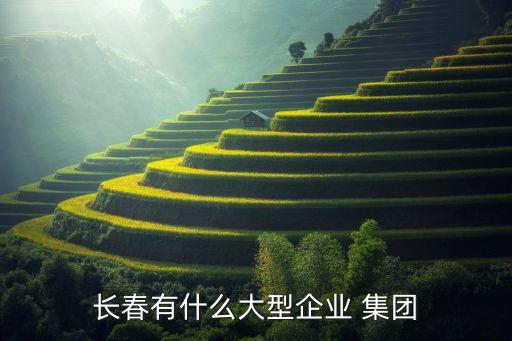 長(zhǎng)春有什么大型企業(yè) 集團(tuán)