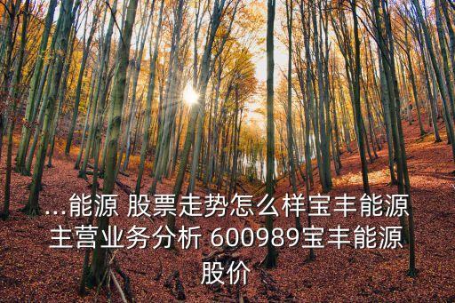 ...能源 股票走勢(shì)怎么樣寶豐能源主營業(yè)務(wù)分析 600989寶豐能源股價(jià)