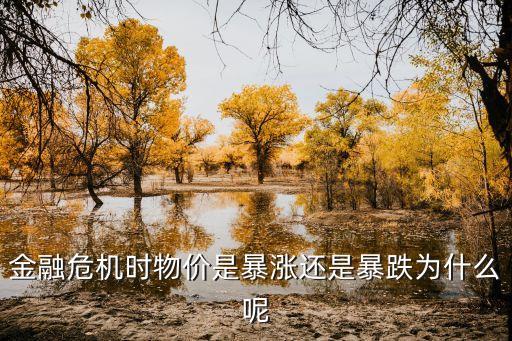 金融危機時物價是暴漲還是暴跌為什么呢