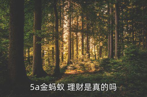 5a金螞蟻 理財是真的嗎