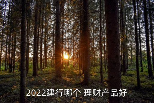 2022建行哪個 理財產(chǎn)品好