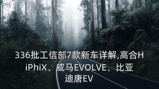 336批工信部7款新車詳解,高合HiPhiX、威馬EVOLVE、比亞迪唐EV