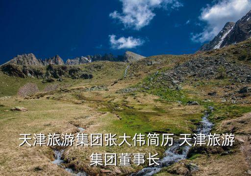  天津旅游集團(tuán)張大偉簡歷 天津旅游集團(tuán)董事長