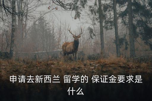 申請(qǐng)去新西蘭 留學(xué)的 保證金要求是什么