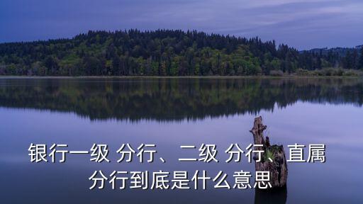 銀行一級(jí) 分行、二級(jí) 分行、直屬 分行到底是什么意思