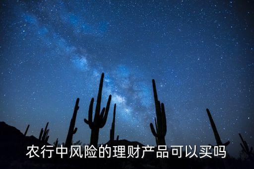 農(nóng)行中風(fēng)險(xiǎn)的理財(cái)產(chǎn)品可以買(mǎi)嗎