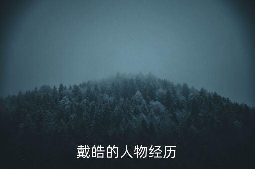 中發(fā)集團(tuán)房地產(chǎn),中發(fā)實(shí)業(yè)集團(tuán)