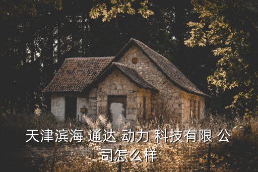 天津濱海 通達 動力 科技有限 公司怎么樣