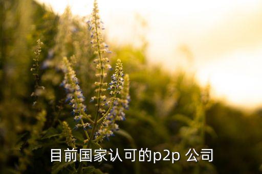 目前國家認可的p2p 公司