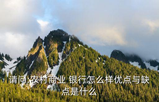 請(qǐng)問:農(nóng)村商業(yè) 銀行怎么樣優(yōu)點(diǎn)與缺點(diǎn)是什么