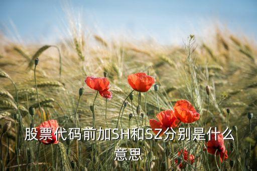  股票代碼前加SH和SZ分別是什么意思