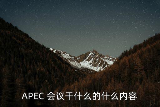 APEC 會議干什么的什么內容