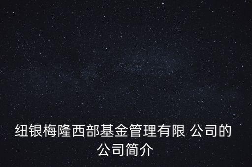 紐銀梅隆西部基金管理有限 公司的 公司簡(jiǎn)介