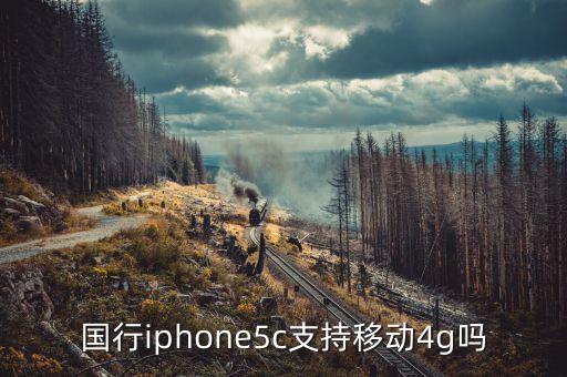 國(guó)行iphone5c支持移動(dòng)4g嗎