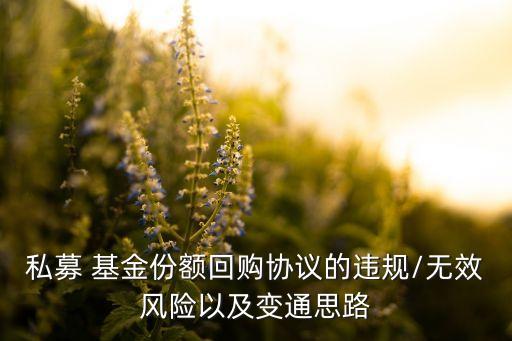 私募 基金份額回購協(xié)議的違規(guī)/無效風(fēng)險(xiǎn)以及變通思路