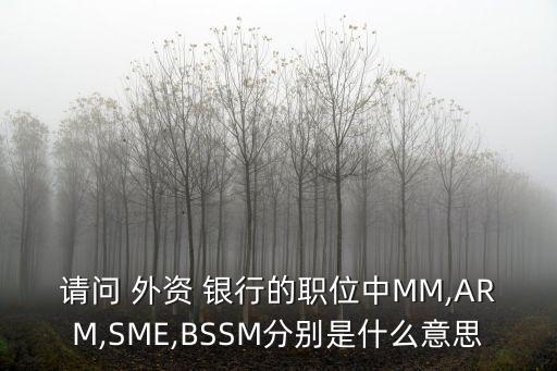 請(qǐng)問 外資 銀行的職位中MM,ARM,SME,BSSM分別是什么意思