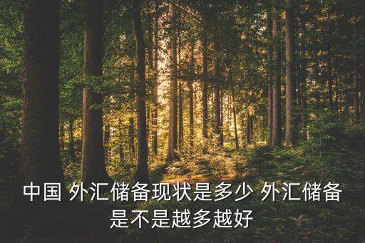 中國(guó) 外匯儲(chǔ)備現(xiàn)狀是多少 外匯儲(chǔ)備是不是越多越好