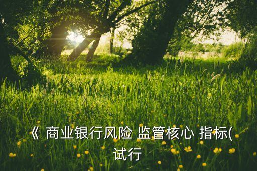 《 商業(yè)銀行風(fēng)險 監(jiān)管核心 指標(biāo)(試行