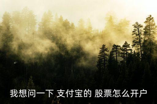 如何做支付寶了投資股票,支付寶網(wǎng)商貸用于投資股票可以嗎