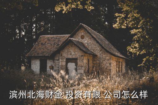 濱州北海財金 投資有限 公司怎么樣