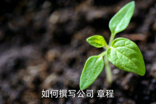 有限公司的章程內(nèi)容