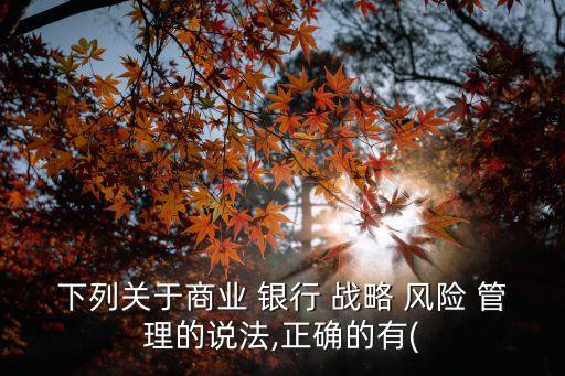 下列關(guān)于商業(yè) 銀行 戰(zhàn)略 風(fēng)險(xiǎn) 管理的說法,正確的有(