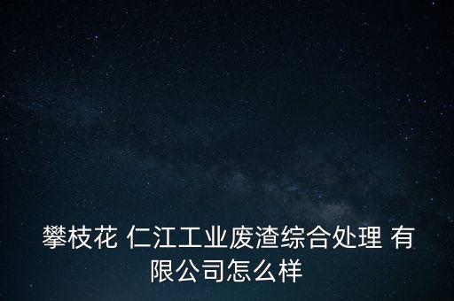  攀枝花 仁江工業(yè)廢渣綜合處理 有限公司怎么樣