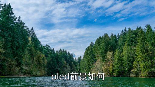 oled投資,尚頎投資 oled