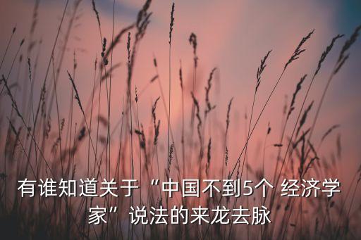 有誰(shuí)知道關(guān)于“中國(guó)不到5個(gè) 經(jīng)濟(jì)學(xué)家”說(shuō)法的來(lái)龍去脈