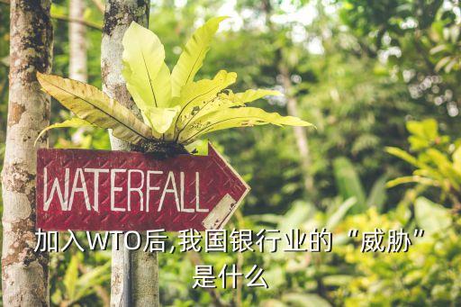 加入WTO后,我國銀行業(yè)的“威脅”是什么