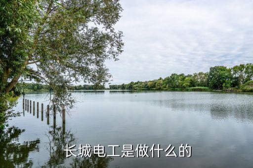 上海恩翼帕瓦長(zhǎng)城開關(guān)有限公司