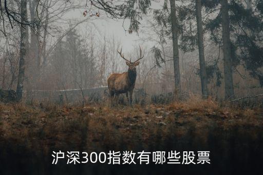 滬深300指數(shù)有哪些股票