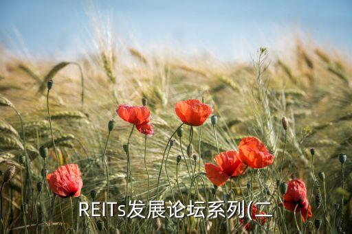 REITs發(fā)展論壇系列(二