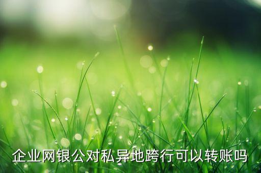 企業(yè)網(wǎng)銀公對(duì)私異地跨行可以轉(zhuǎn)賬嗎