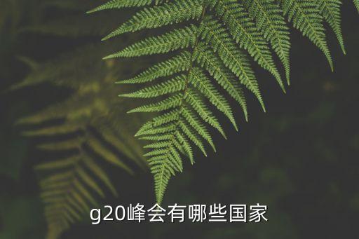 g20峰會(huì)有哪些國(guó)家