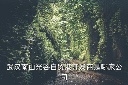  武漢南山光谷自貿(mào)港開發(fā)商是哪家公司