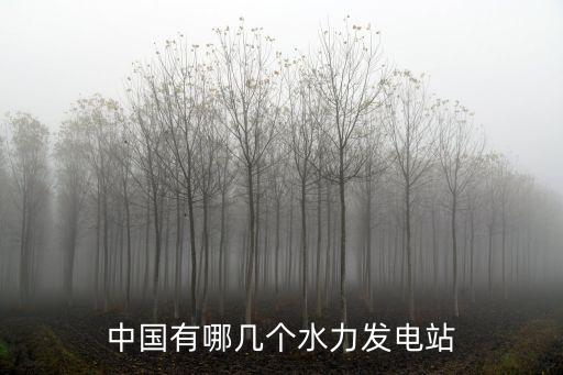 中國有哪幾個(gè)水力發(fā)電站