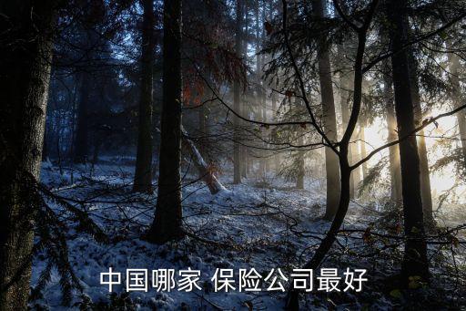 中國哪家 保險(xiǎn)公司最好