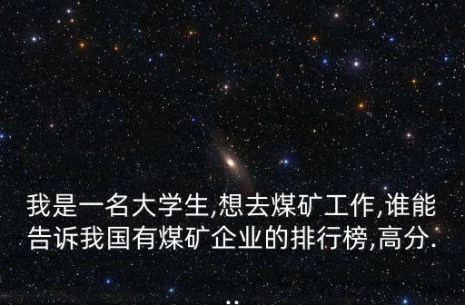 我是一名大學生,想去煤礦工作,誰能告訴我國有煤礦企業(yè)的排行榜,高分...