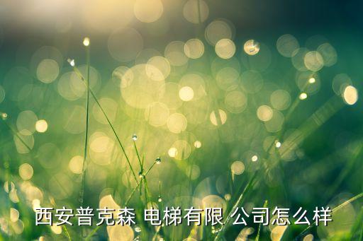  西安普克森 電梯有限 公司怎么樣