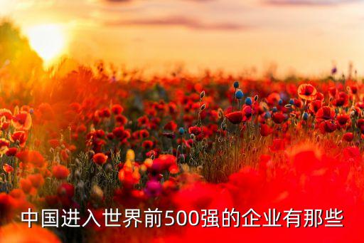 中國進入世界前500強的企業(yè)有那些