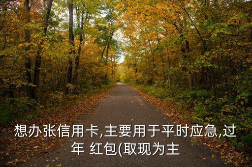 想辦張信用卡,主要用于平時應(yīng)急,過年 紅包(取現(xiàn)為主