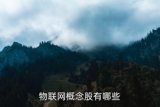 物聯(lián)網(wǎng)概念股有哪些