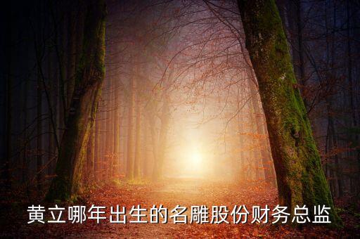 黃立哪年出生的名雕股份財務(wù)總監(jiān)