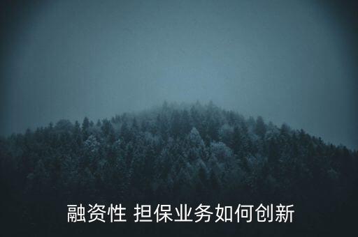 擔(dān)保公司對(duì)外融資方案,融資性擔(dān)保公司不得從事哪些業(yè)務(wù)