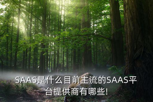 SAAS是什么目前主流的SAAS平臺提供商有哪些!