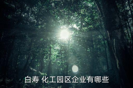 香港建滔江蘇實(shí)友化工有限公司